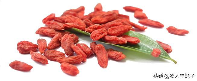 药用枸杞的种植技术,枸杞干货怎么选