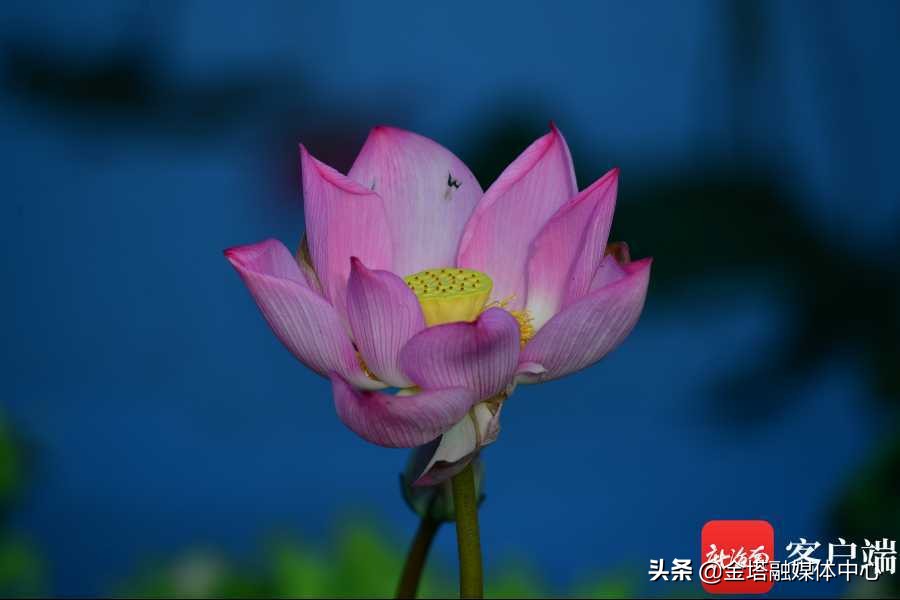 海口五源河湿地公园,海南海口五源河国家湿地公园