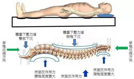 乳胶床垫哪一种好,怎么样的乳胶床垫才是好的