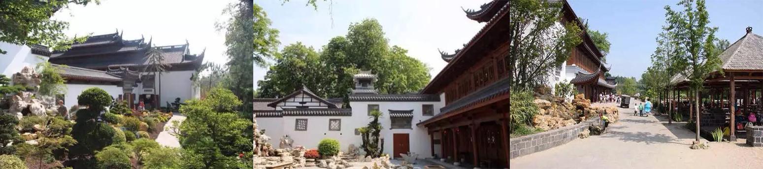 围观中国网红神兽羞羞视频，这是什么特殊爱好？