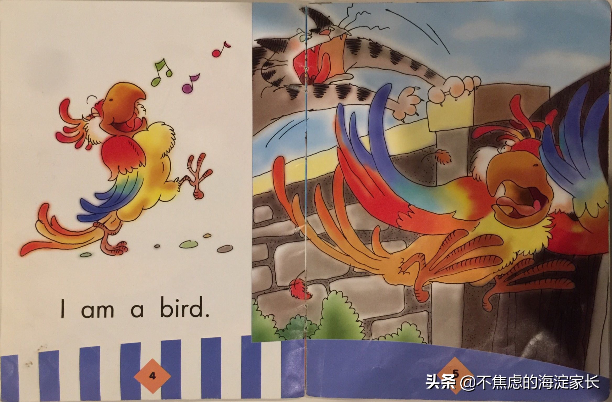 新西兰小学二年级课后读物,新西兰小学阅读书籍