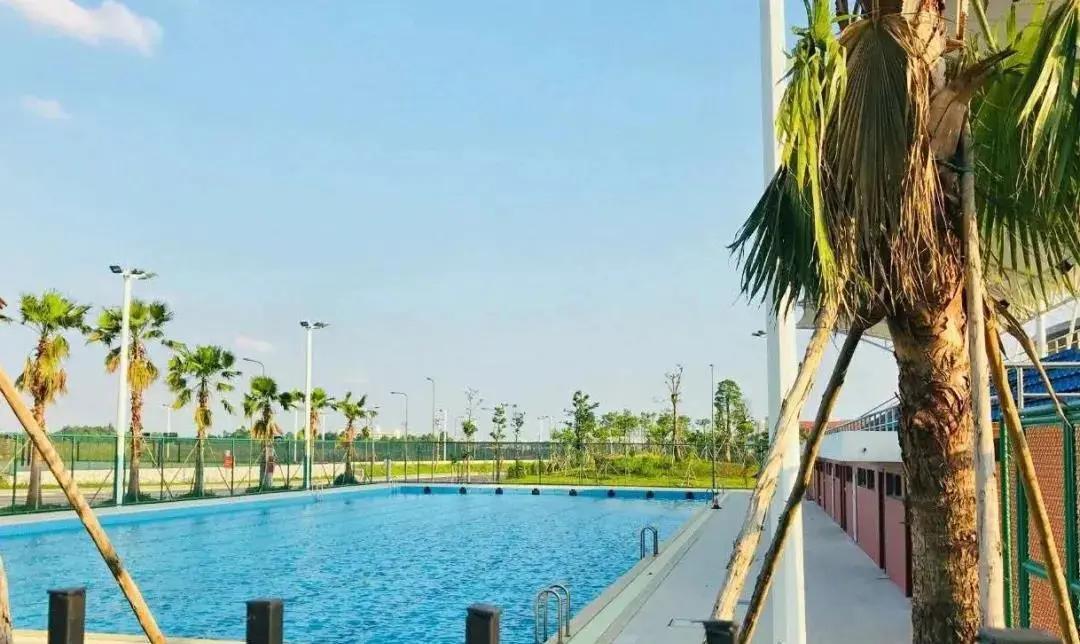 中国所有有游泳池的大学,广东省哪个大学有游泳池