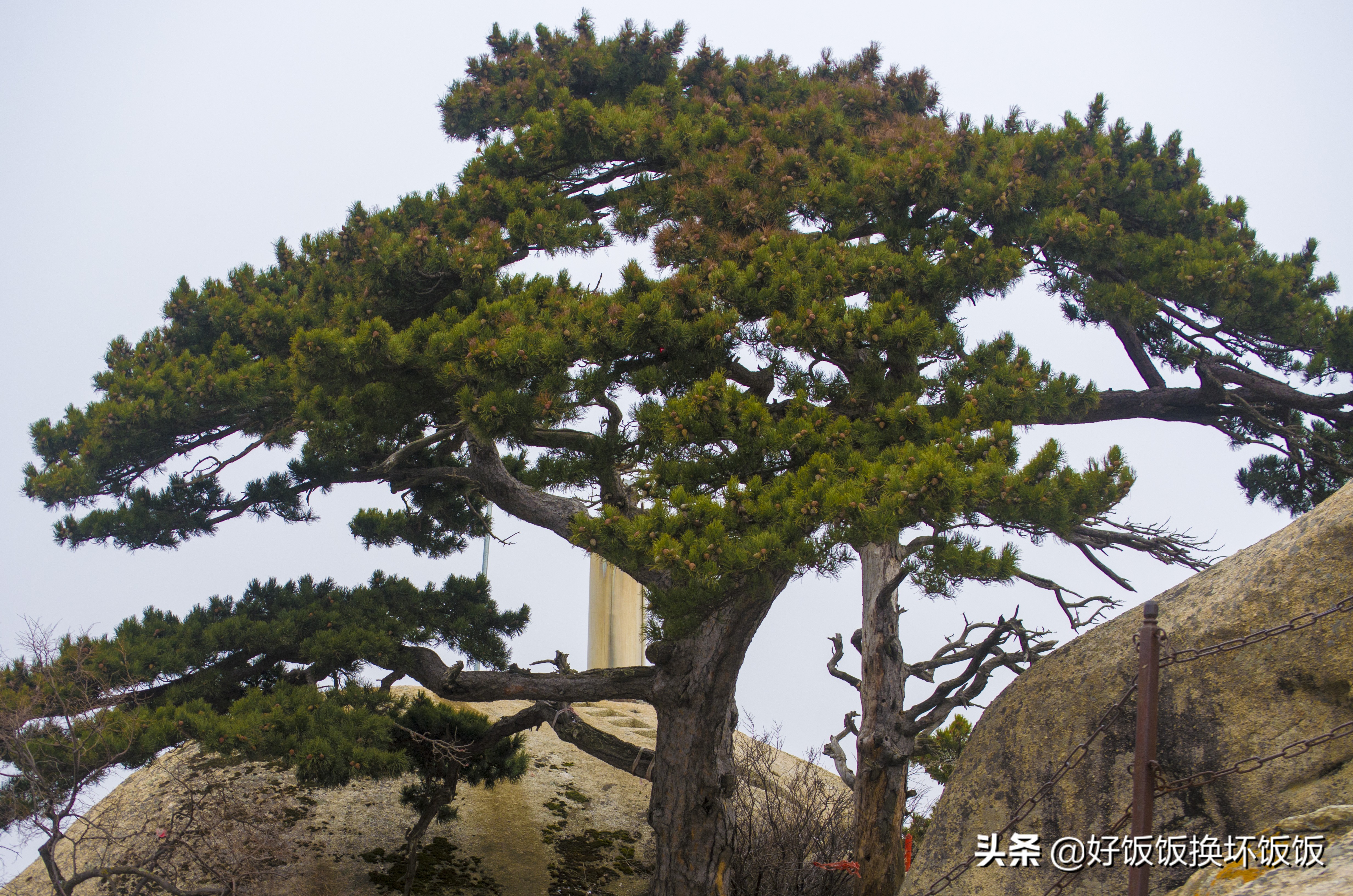 华山站到华山北峰怎么走,华山西峰到华山北峰山路怎样