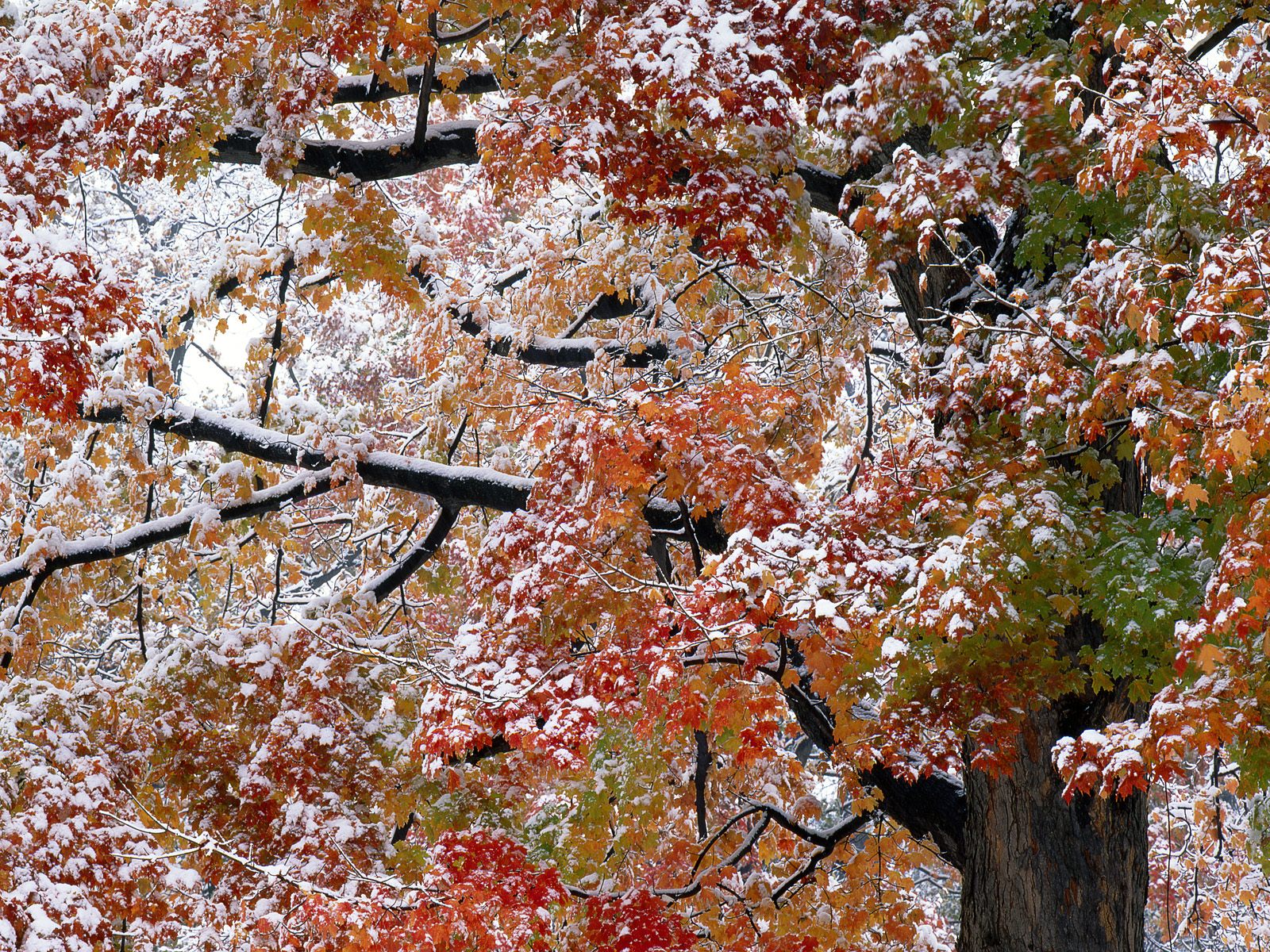 宣州谢朓楼饯别校书叔云写作时间,宣州谢朓楼饯别校书叔云赏析