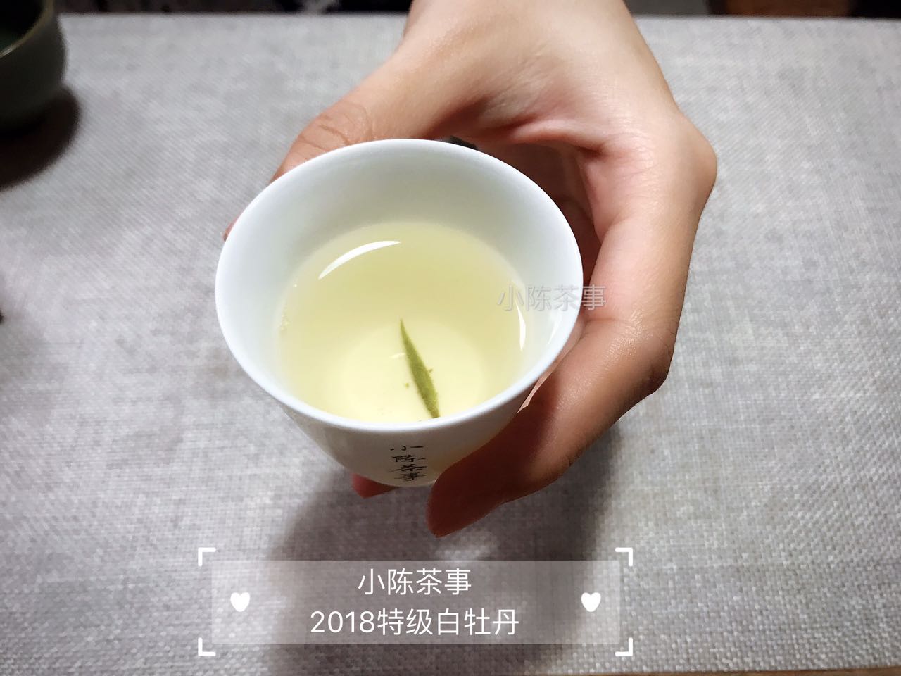 绿茶红茶白茶黑茶适合什么季节喝,普洱茶属于黑茶红茶还是绿茶黄茶