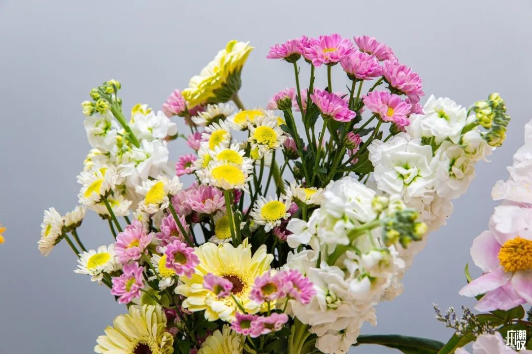 深夜去广州的花卉市场买花,如何逛斗南花卉市场买花便宜