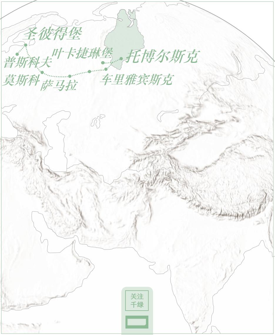 火车冒着黑烟呼啸而过,火车冒着浓烟从丛林出来