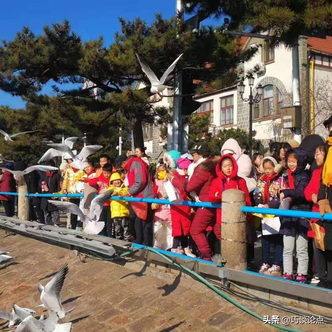 青岛市实验小学活动,青岛实验小学元旦活动