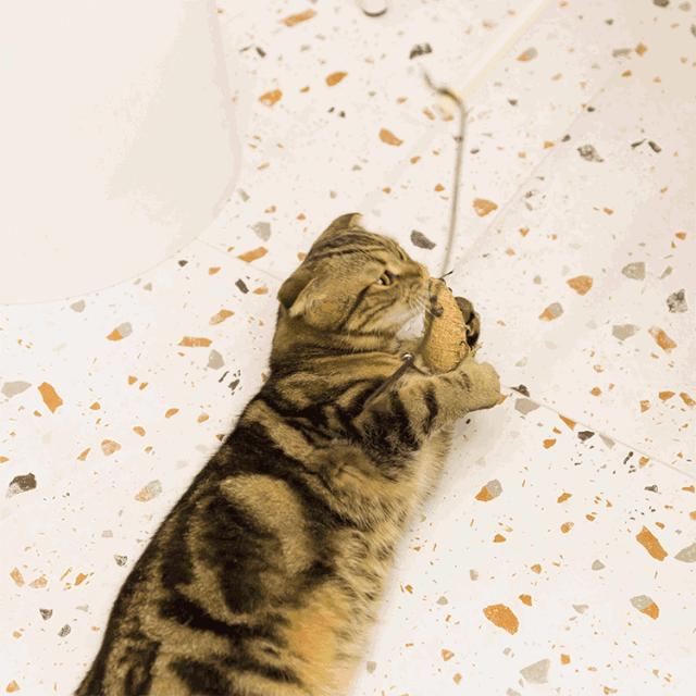 杩涘叆绾康纰戝康纰戣胺,杩涘叆绾康纰戣胺