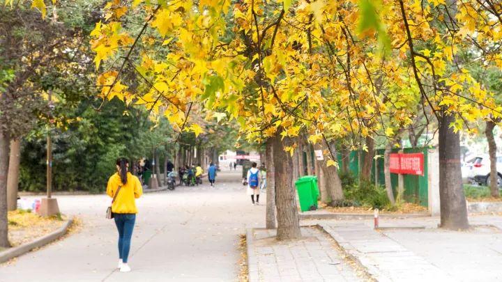 郑州漂亮的秋色风景,郑州的这些湖畔藏着最美的秋色