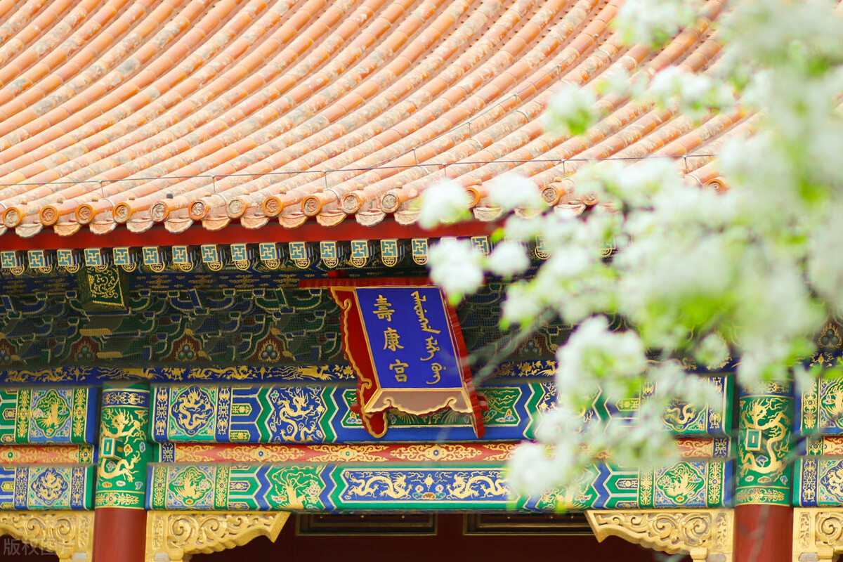 乾隆真的很爱富察皇后吗,乾隆有多爱富察皇后