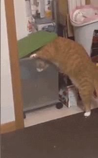 开心图文高清图片,开心图文原创