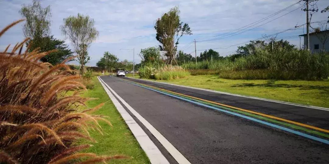 双流夜景必打卡之地,成都双流免费打卡景点
