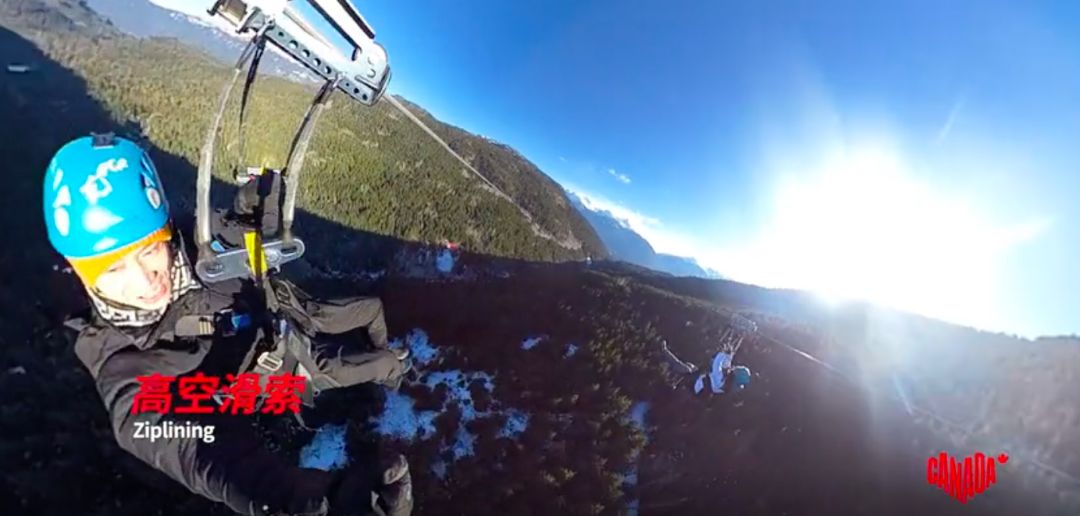 BC省的冬天，粘人精