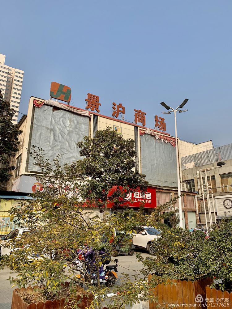 涧西牡丹广场老照片,洛阳牡丹手机拍照