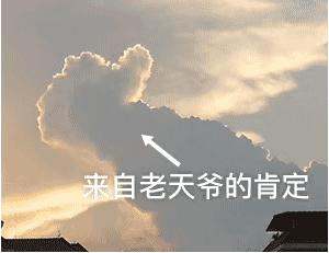 肽到底是药还是营养品,肽的成分是什么