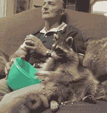 士力架为什么这么火,士力架一些老新品