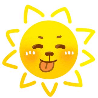 花儿朵朵向阳开幼儿园,幼师花儿朵朵向阳开舞蹈完整版