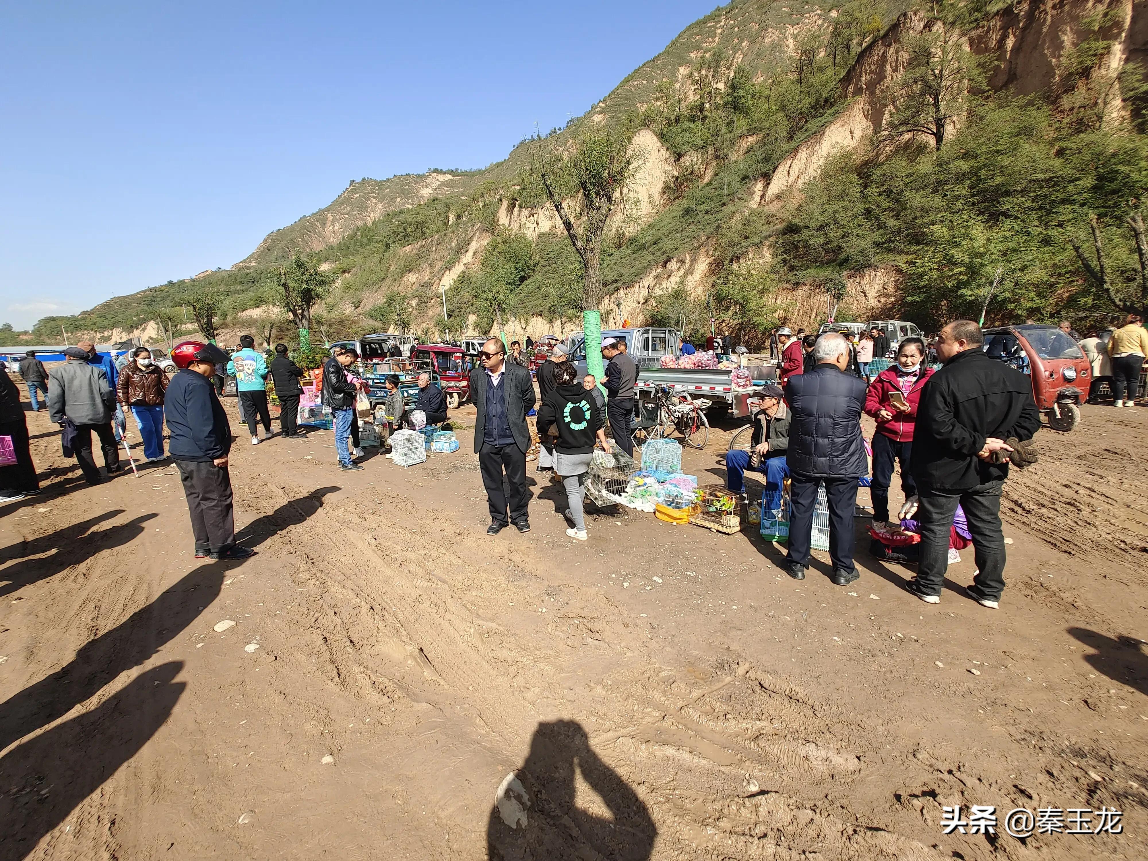 狗市，市井文化的洼地