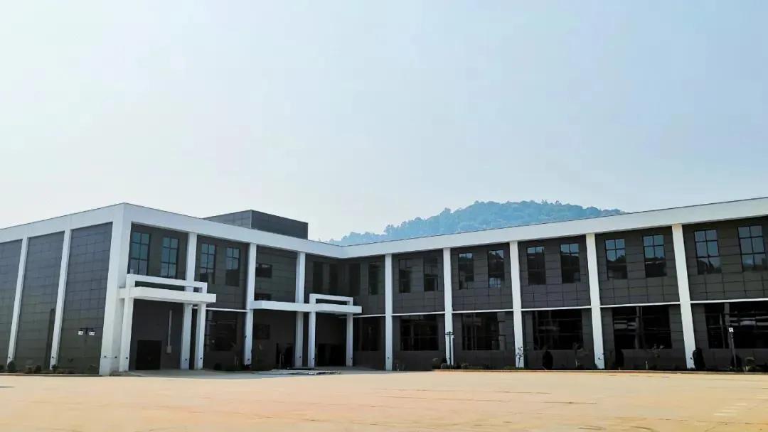 杀青后的茶叶多久开始揉捻,茶叶杀青什么程度熟茶最好