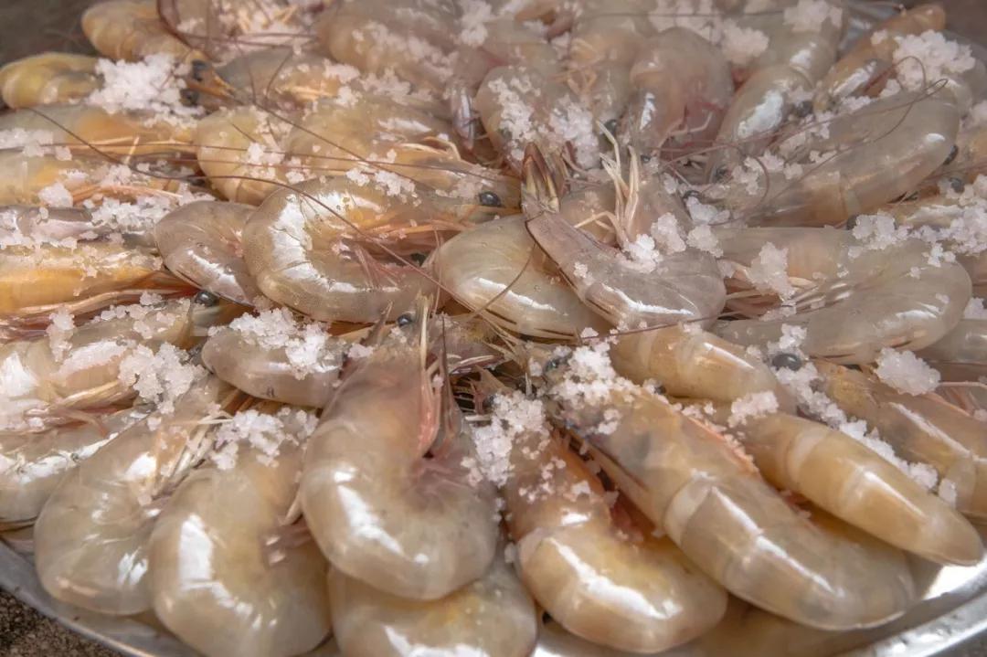 温补肾阳补肾固精吃什么,温肾固精的食品