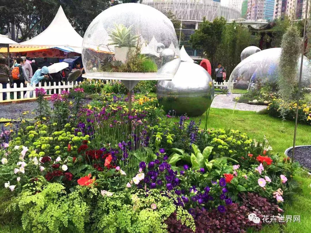 共赴盛会活动,香港国际花卉展