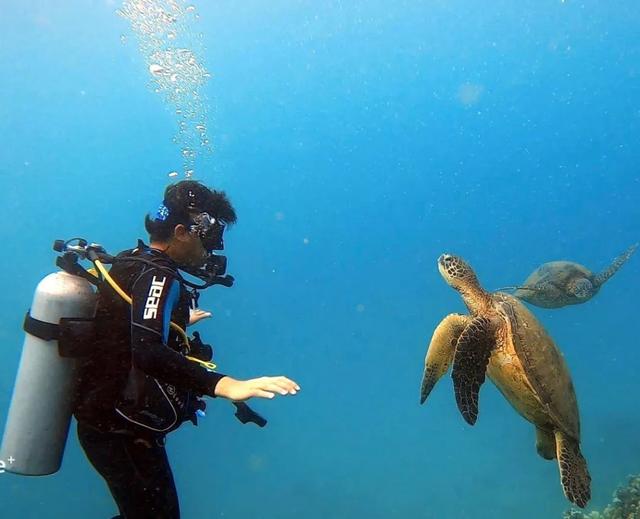 我的拍照技术vs男朋友的拍照技术,这就是直男的拍照技术吗