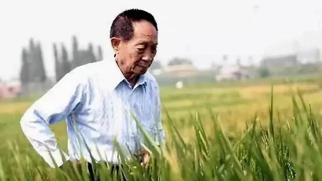 “国土无双”“衰老千古”？哀悼时不写错字，是对亡者基本的尊重