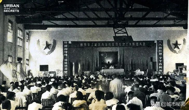 杭州文教区如果不写杭师大，那和一条失去梦想的咸鱼有啥区别