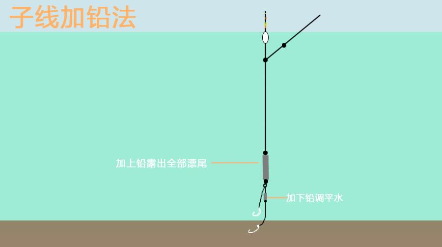 夏季夜钓鲫鱼鲤鱼用腥饵还是香饵,夏季浮钓调漂的正确方法与技巧