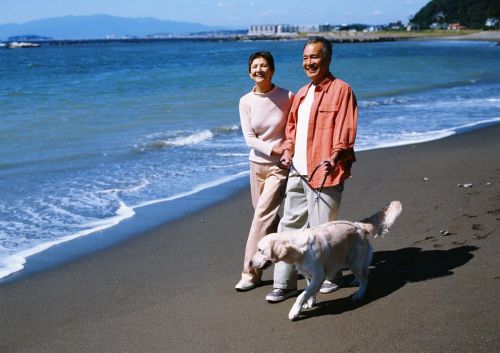 来海南养老的100个理由,候鸟老人海南过冬