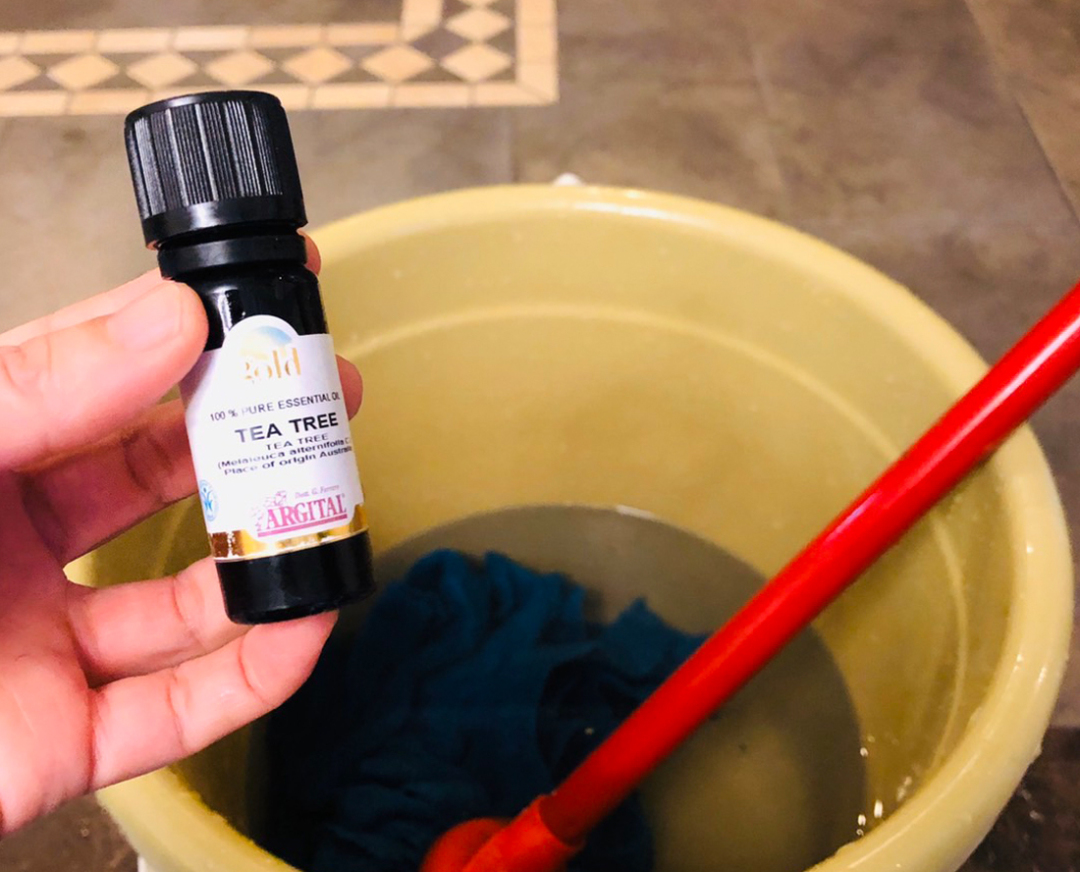 天然茶树精油和单方茶树精油,解锁植物芳香剂