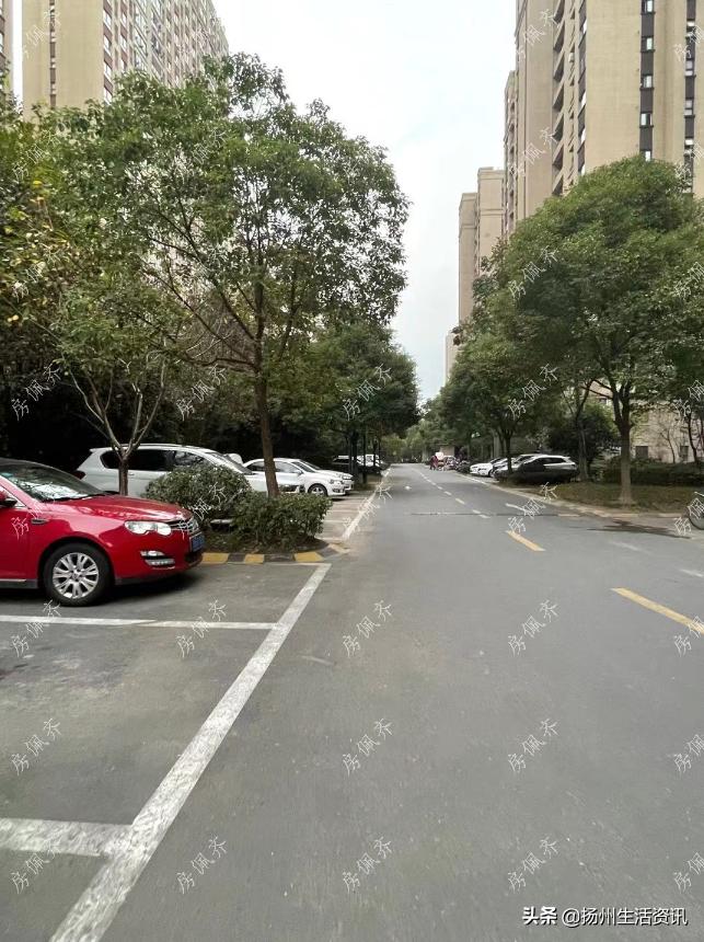 夜探豪宅真实视频,夜探楼盘