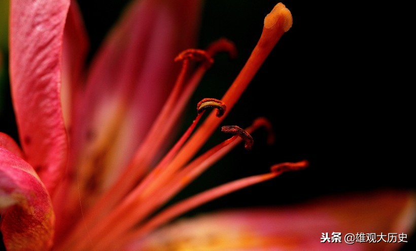 牛啊，写诗也能骂人，这十首讽刺意味的诗歌，第六首发人深省