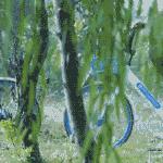 福利！全城1000张哈啰单车月卡领起来