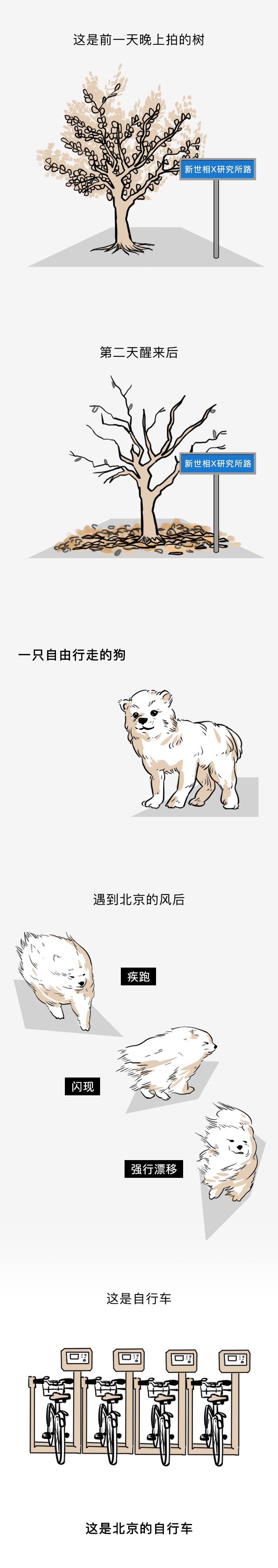 北京大风威力有多强,北京大风刮过哪些地方