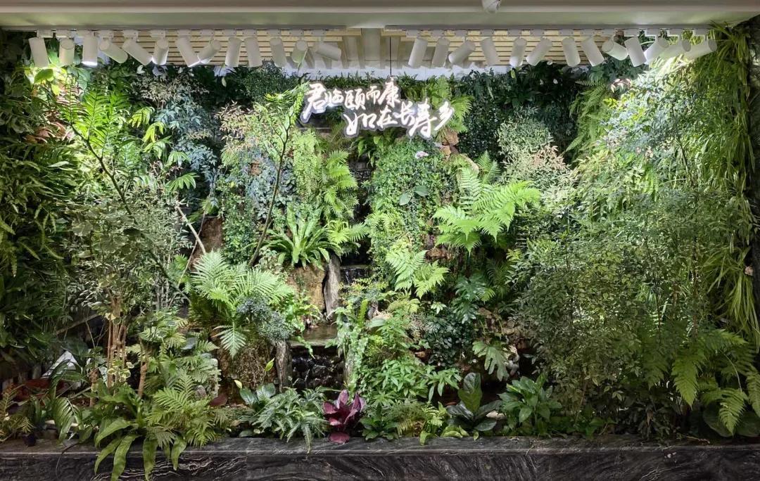 去长沙必去茶颜悦色,来长沙打卡茶颜悦色的朋友圈文案