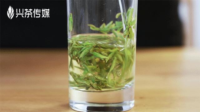 谷雨适合踏青还是喝茶,谷雨节气喝茶习俗美篇