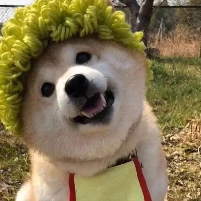 情人节文案甜甜的恋爱,情人节送女朋友甜甜的句子