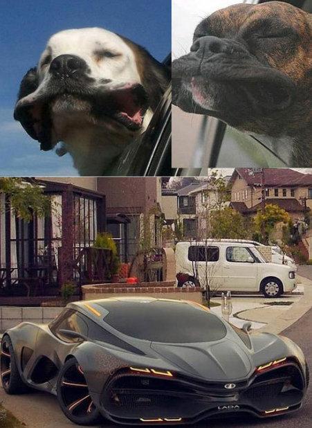 大众甲壳虫改七星瓢虫,甲壳虫设计理念