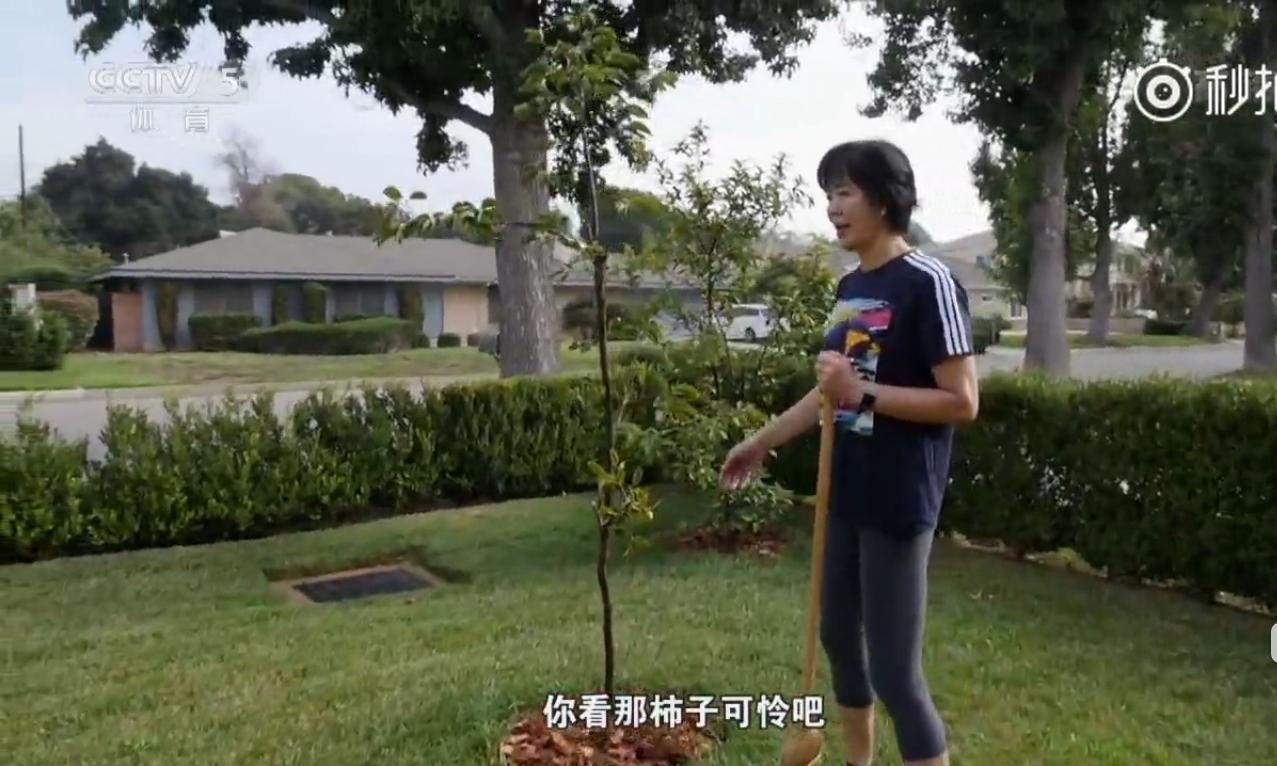 体育明星迈阿密豪宅,刘翔最新豪宅