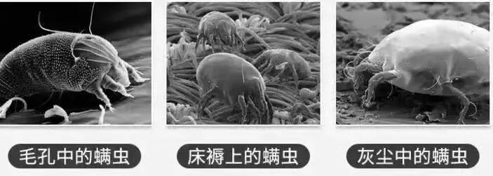 黑头粉刺毛孔粗大螨虫怎么去除,去黑头粉刺螨虫痘痘深层毛孔清洁