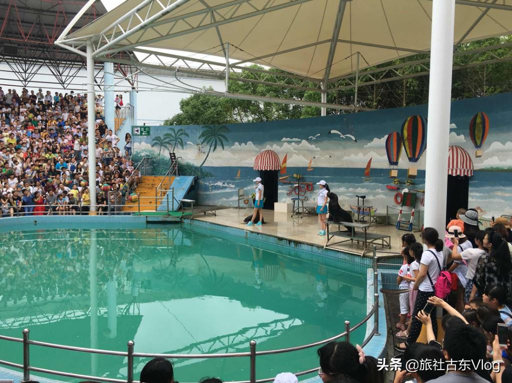 上海野生动物园冬天动物多吗,上海野生动物园中的动物