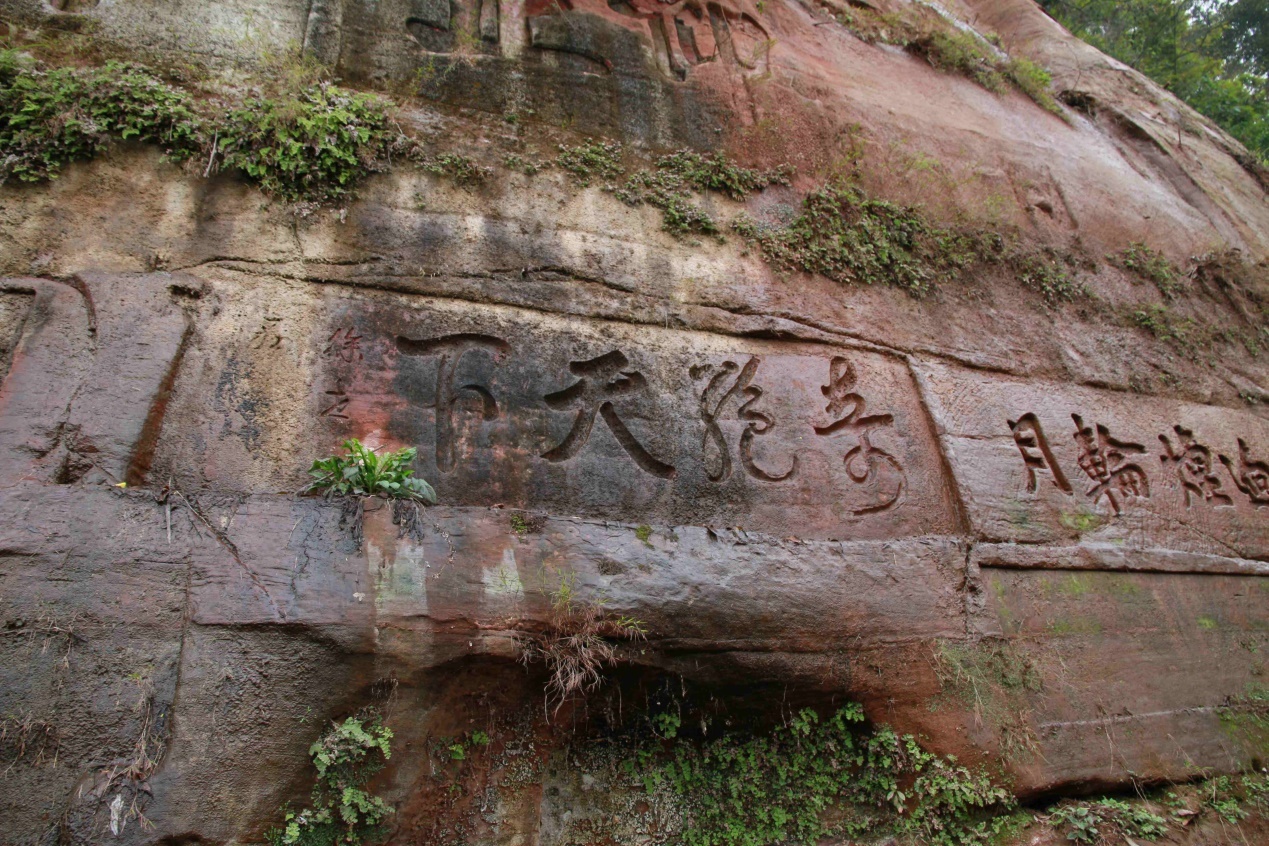 乐山大佛背后的卧佛,中国最大的坐佛在什么地方