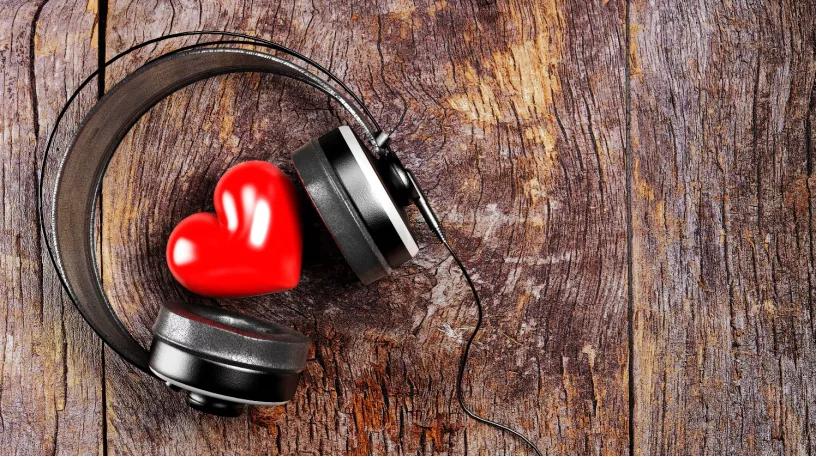 流浪狗怎么建立信任,销售信任建立的方法和技巧