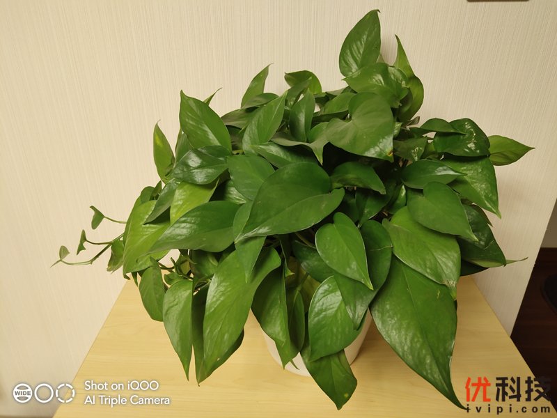 iqoo手机性能发挥到极致,最值得买的全新iqoo手机