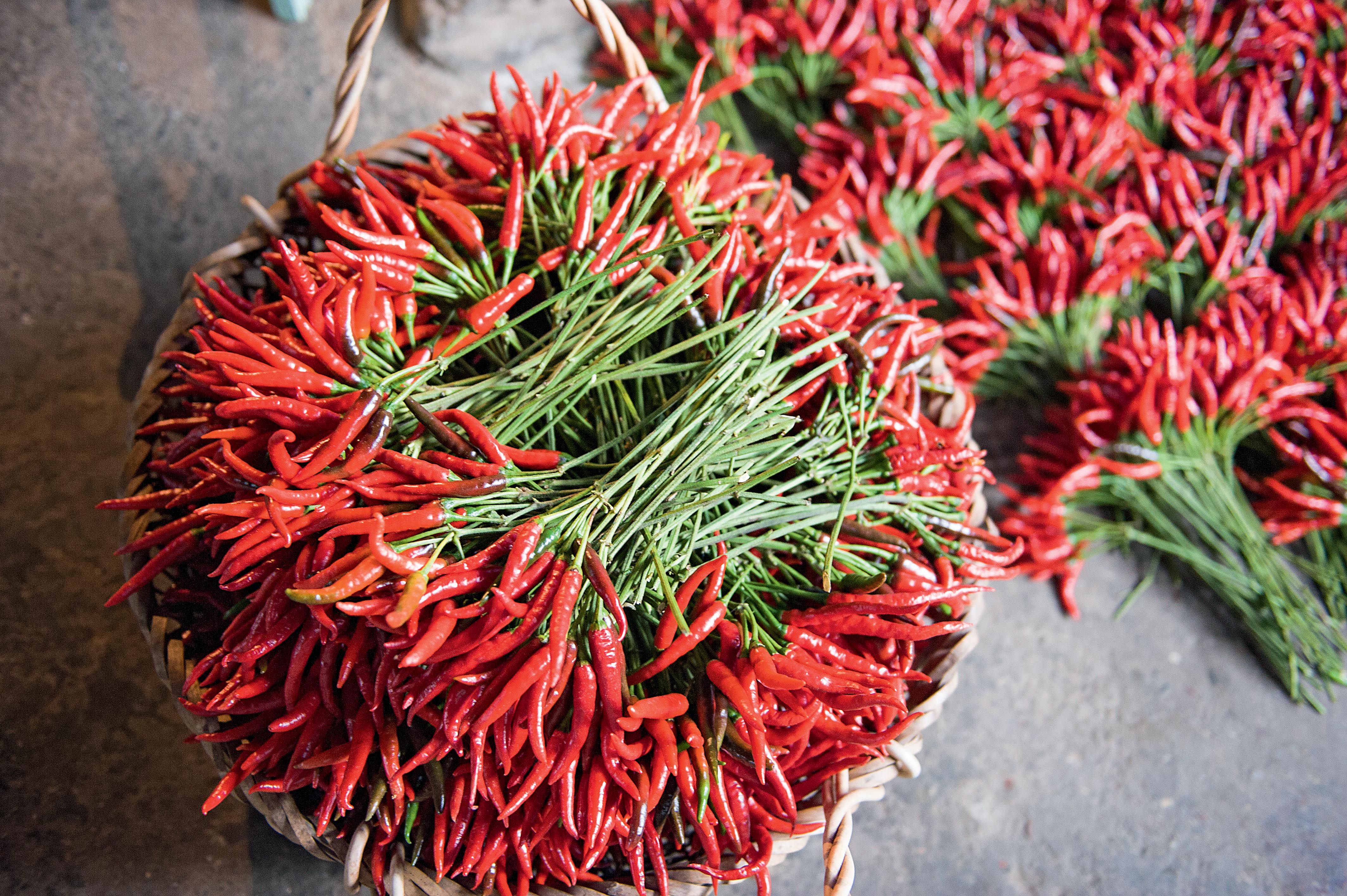 什么蛆可以吃,什么蛆吃腐肉快