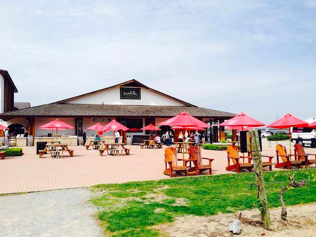 百变style多伦多 (多伦多的百变style)