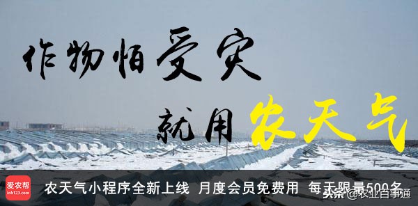 玉米从播种到收获多长时间,我国玉米主产区的播种时间