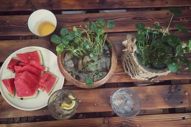 梦想改造家小户型,农村庭院改造效果图大全